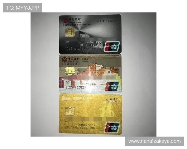 PA zhenren账号使用过程中遇到支付问题的解决方案大全